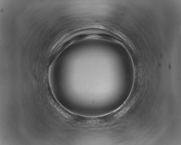 X0000070210985200605301358