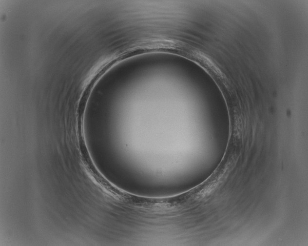 X0000070210986200605301358