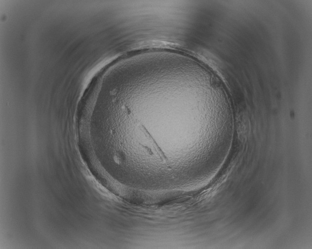 X0000070210987200605301358