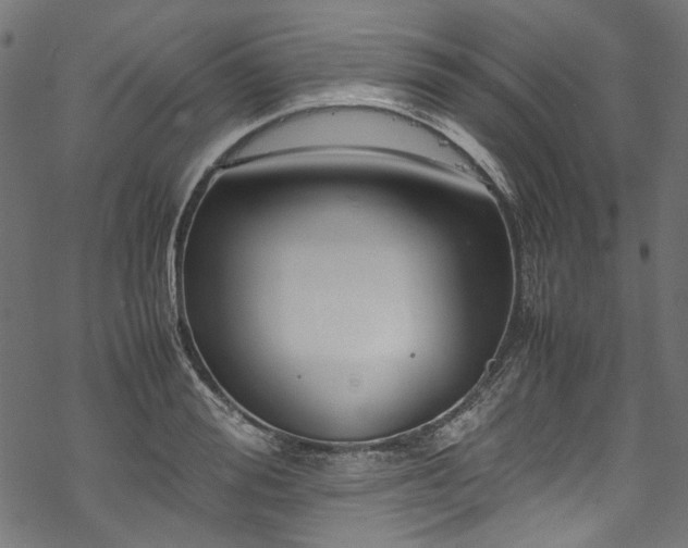 X0000070210988200605301358