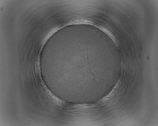 X0000070210990200605301358