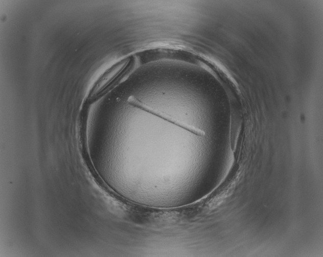 X0000070210991200605301358