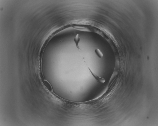 X0000070210992200605301358