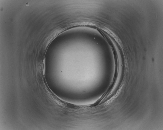 X0000070210993200605301358