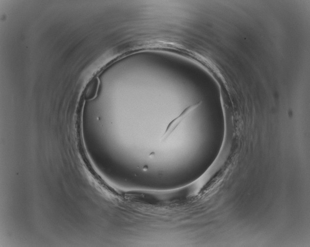 X0000070210995200605301358