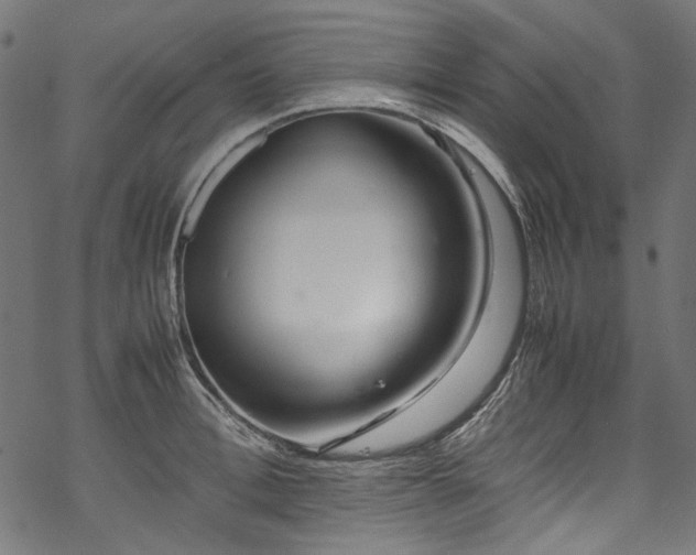 X0000070210996200605301358