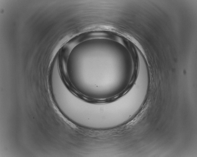 X0000070210997200605301358