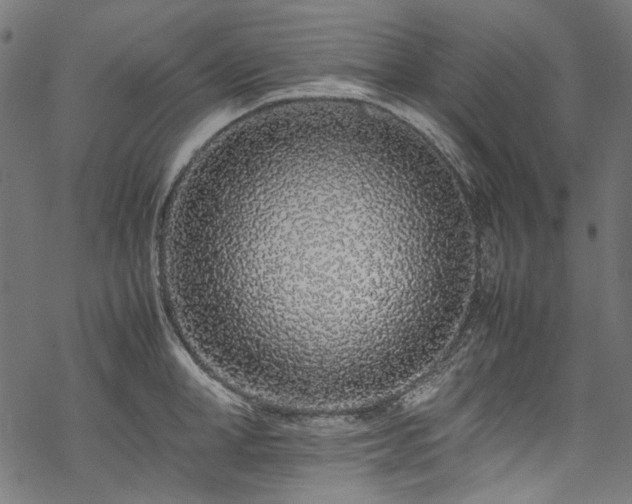 X0000070210998200605301358