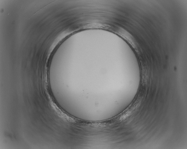 X0000070211000200605301358