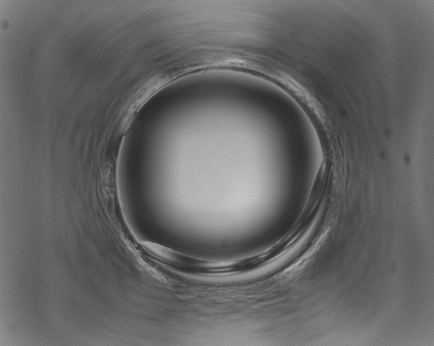 X0000070211001200605301358