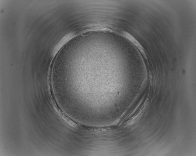 X0000070211002200605301358