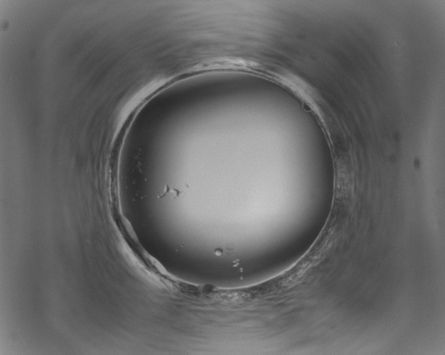 X0000070211003200605301358