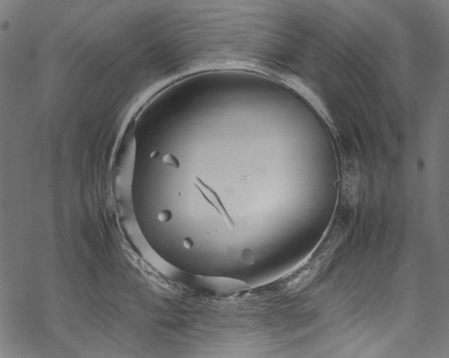 X0000070211004200605301358