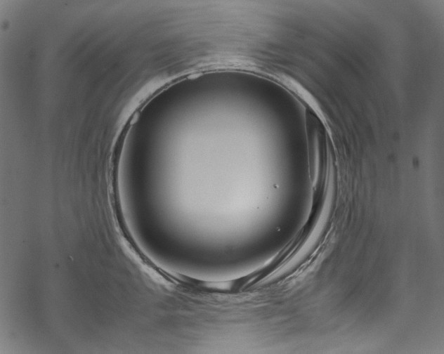 X0000070211005200605301358