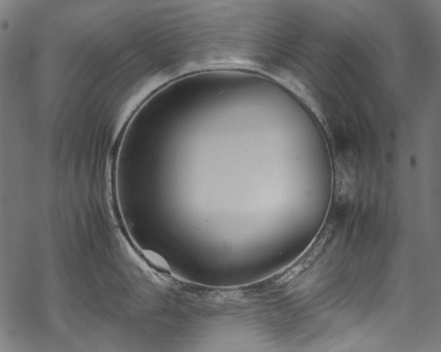 X0000070211006200605301358