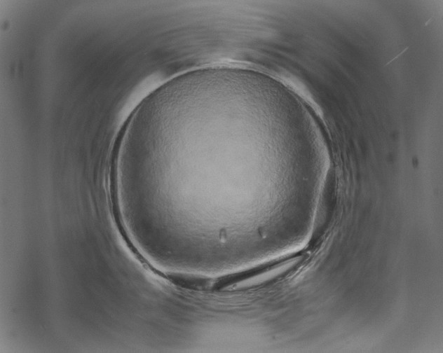 X0000070211007200605301358