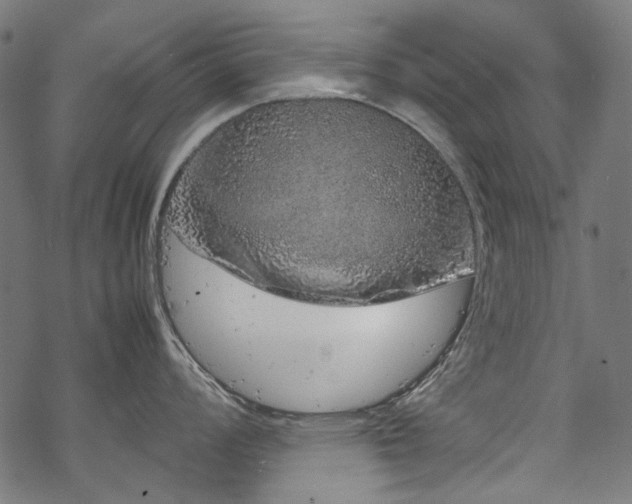 X0000070211008200605301358