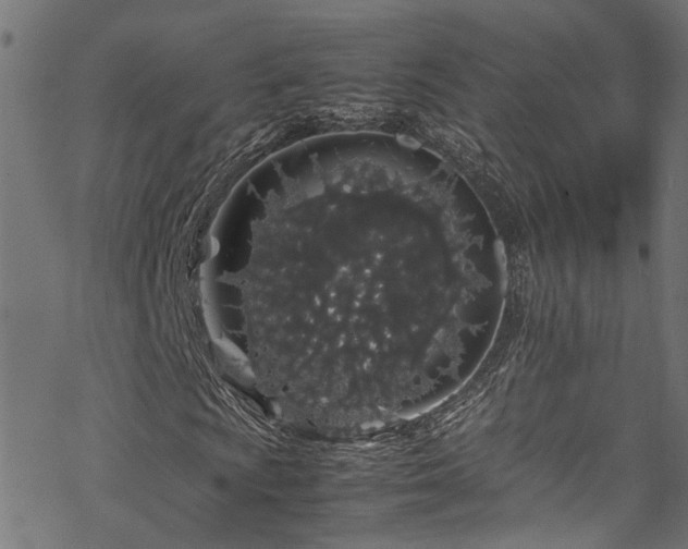 X0000070211009200605301357