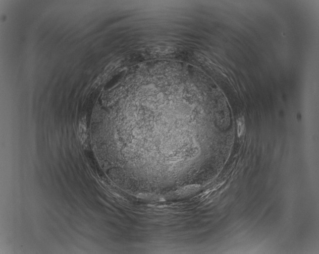 X0000070211011200605301357