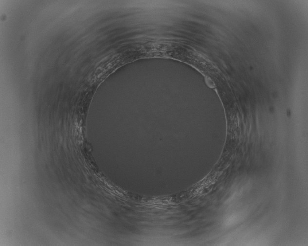 X0000070211013200605301357