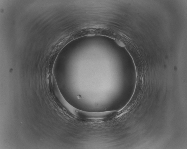 X0000070211014200605301357