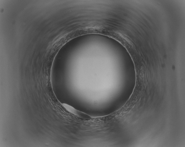 X0000070211015200605301357