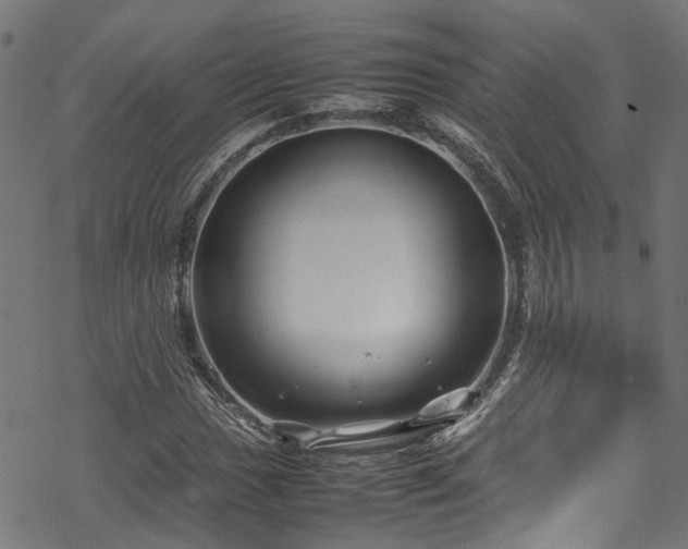 X0000070211017200605301357