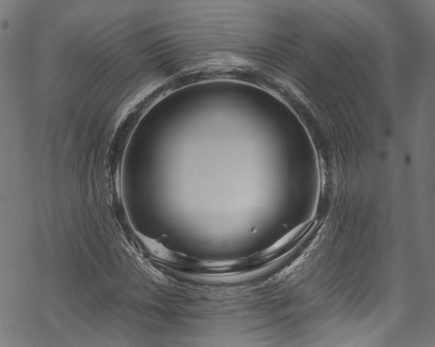 X0000070211018200605301357