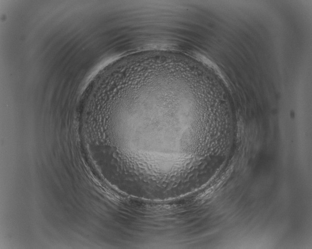 X0000070211019200605301357