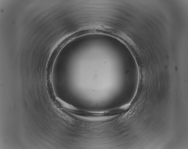 X0000070211020200605301357