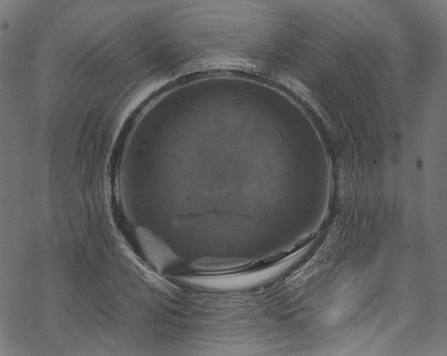 X0000070211024200605301357