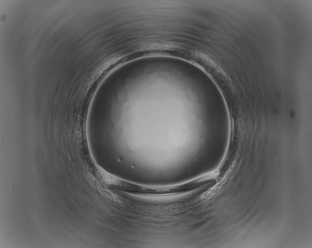 X0000070211025200605301357