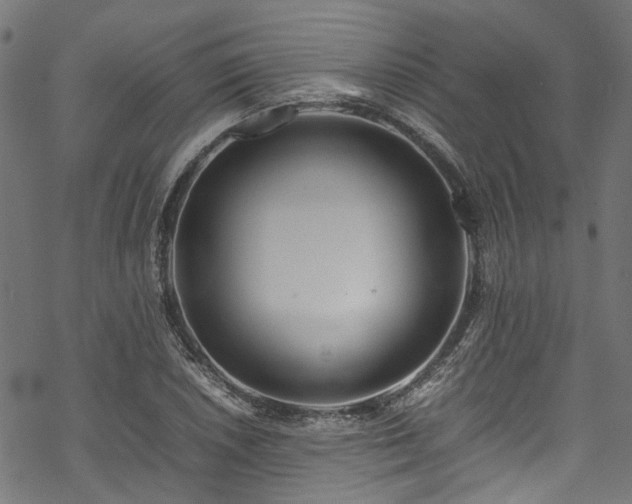 X0000070211026200605301357