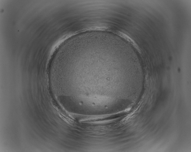 X0000070211027200605301357