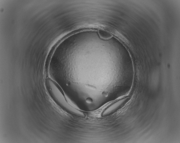 X0000070211028200605301357