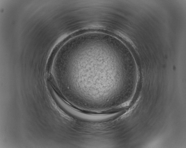 X0000070211029200605301357