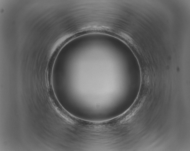 X0000070211030200605301357