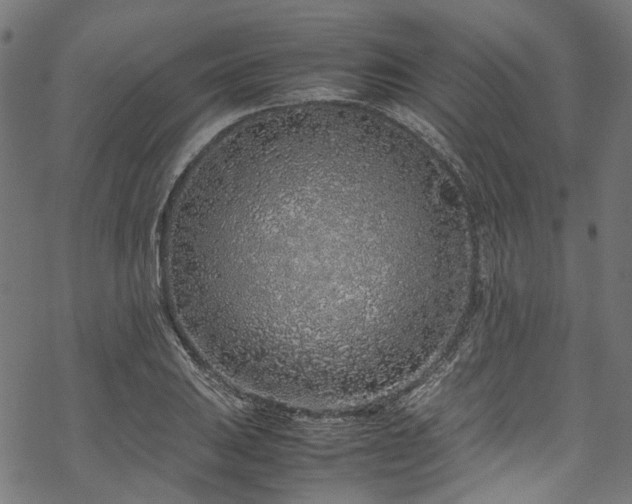 X0000070211031200605301357