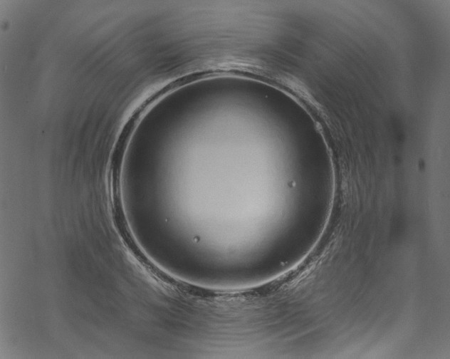 X0000070211032200605301357