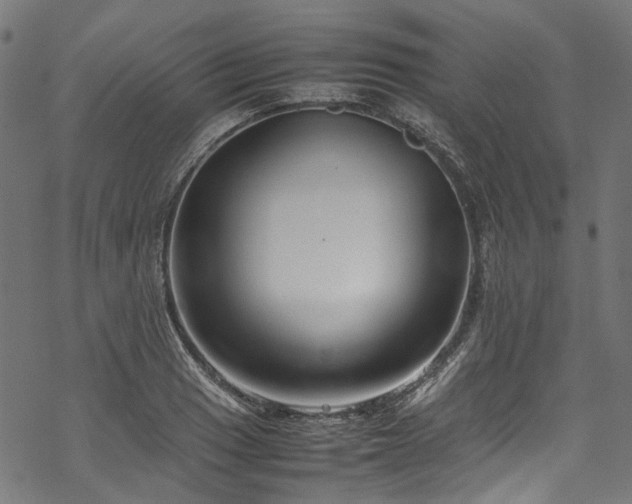 X0000070211033200605301357