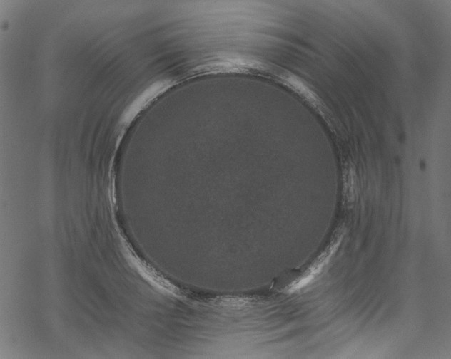 X0000070211034200605301357