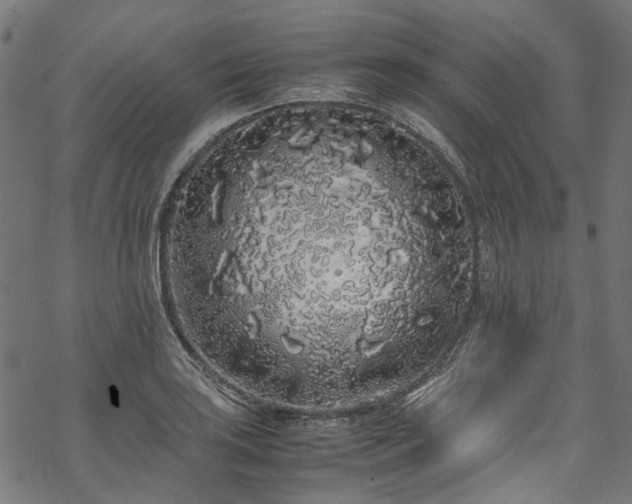 X0000070211035200605301357