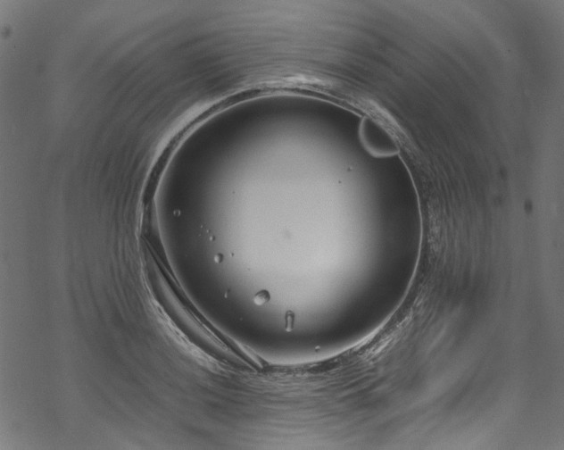 X0000070211036200605301357