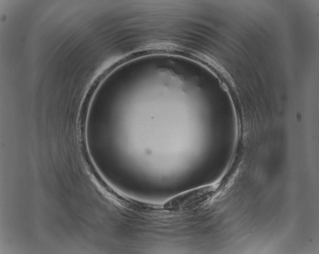 X0000070211037200605301357