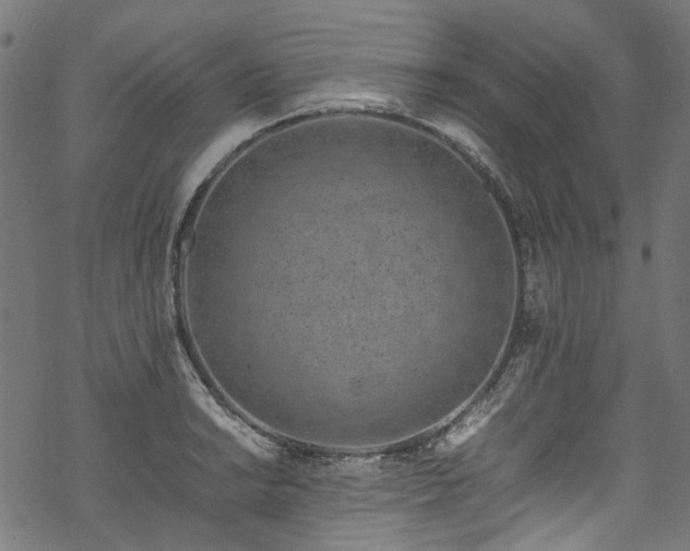 X0000070211038200605301357