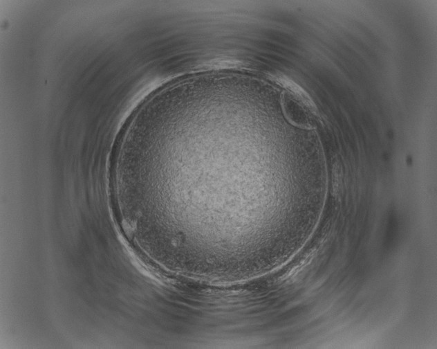 X0000070211039200605301357