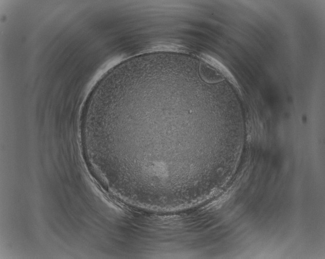 X0000070211043200605301357