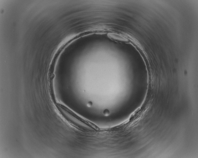 X0000070211045200605301357