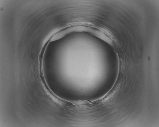 X0000070211046200605301357