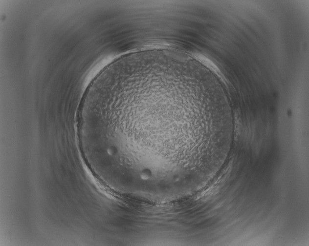 X0000070211047200605301357